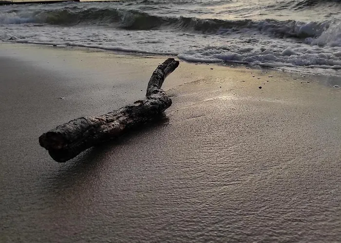 Promenada Park Kolberg